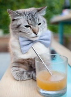 跨界逆转传奇，NBA巅峰战与足球沙漠的奇迹交响